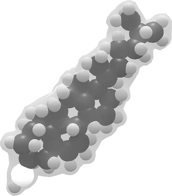 Cholesterol Molecule